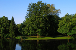 Der Volksgarten